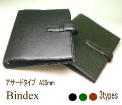 bindex asad
