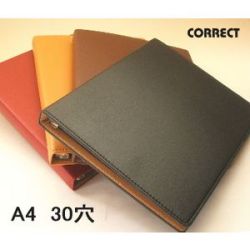 ��󥰥Х��������A4��30��