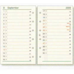 �����ƥ��Ģ����ե��롡�ߥ�6�ꥵ������2009ǯ���-2